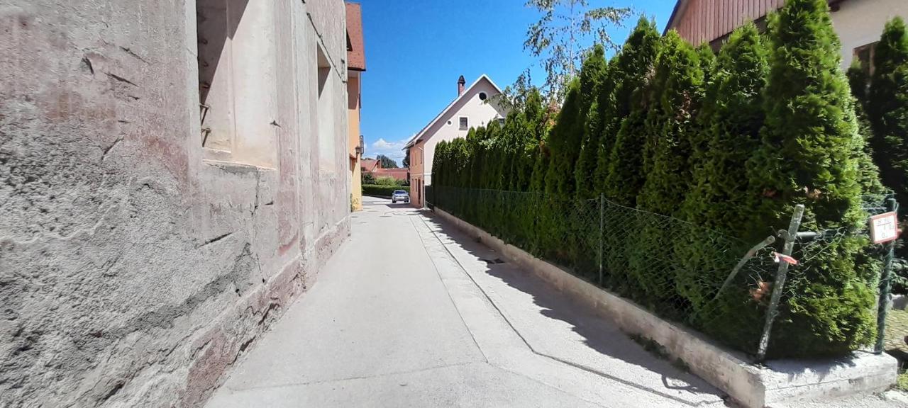 Apartment Slovan Škofja Loka Eksteriør billede